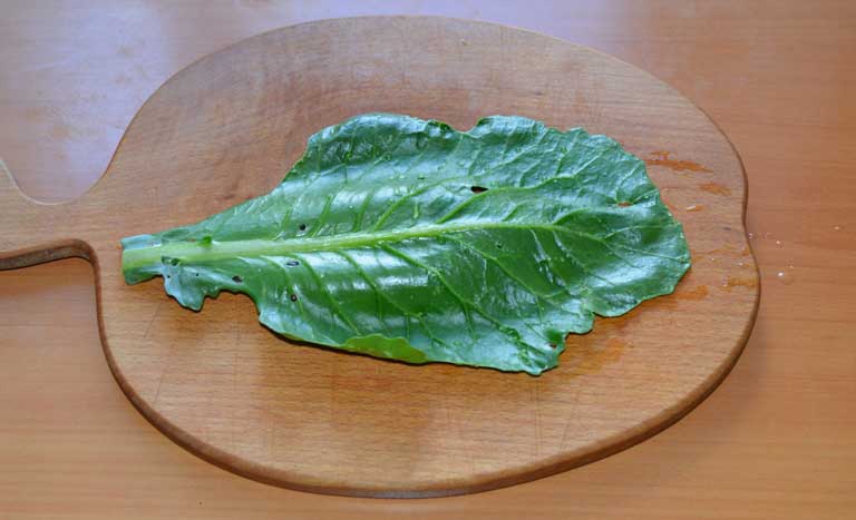 капустный лист на столе