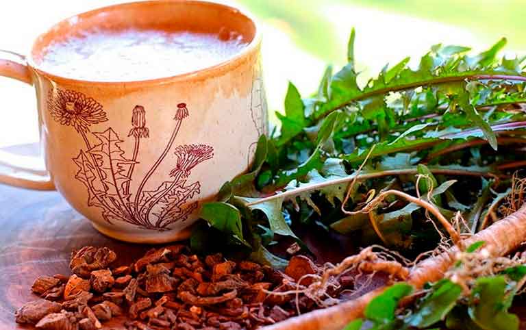 кофе из корней одуванчика