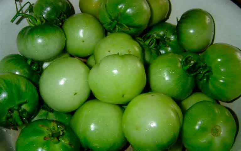 зеленые помидоры